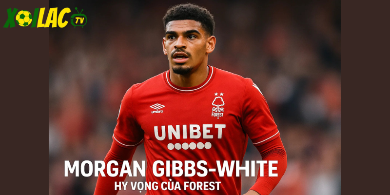 Morgan Gibbs-White, hy vọng của Forest