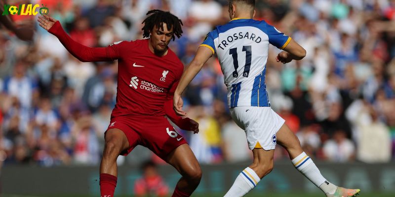 Liverpool vs Brighton & Hove Albion: Sân Anfield rực lửa